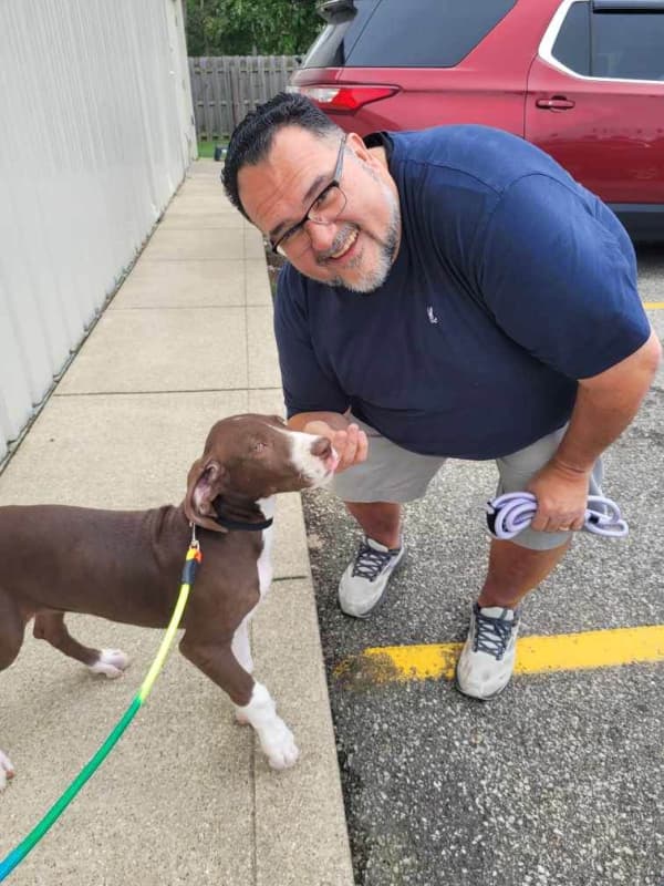 Customer photo of Great Dane puppy from Alexander F.