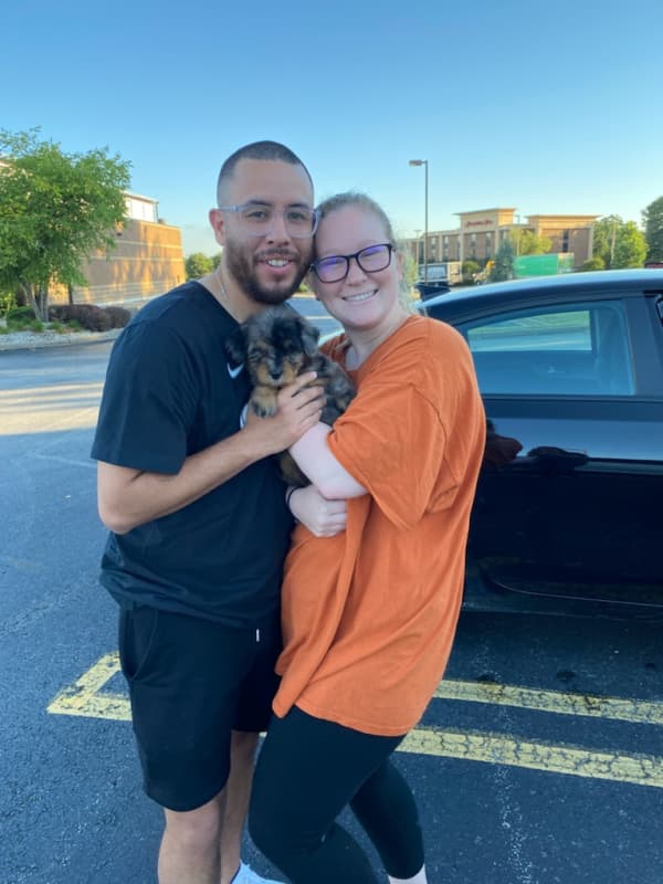 Customer photo of Aussiedoodle puppy from Amanda N.