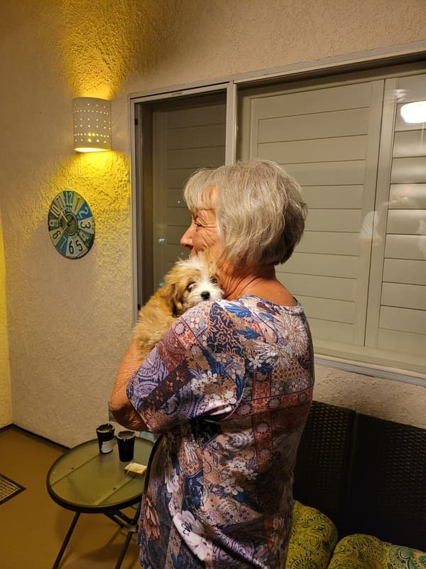 Customer photo of Aussiedoodle puppy from Rhonda M.