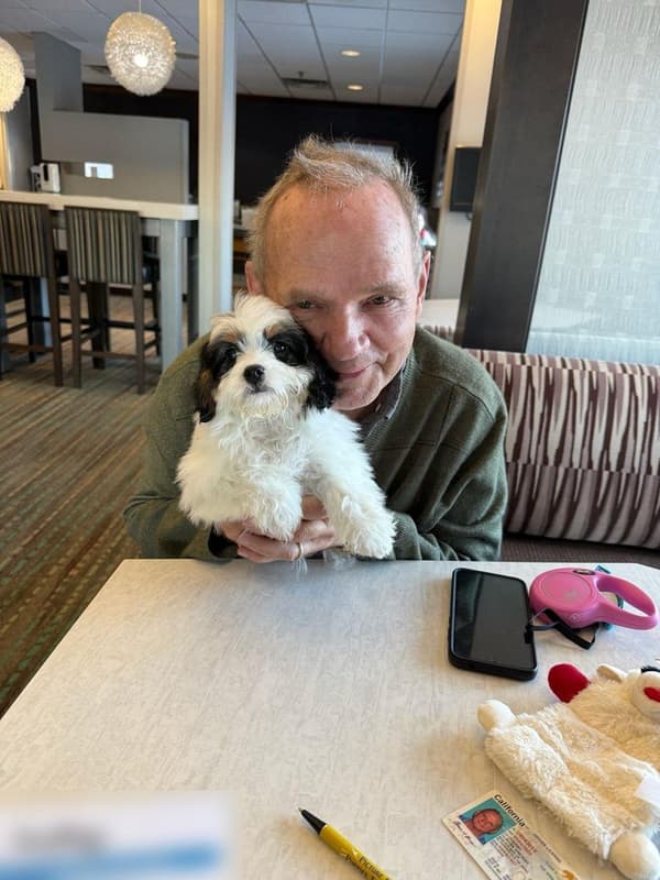 Customer photo of Cavachon puppy from Ross O.