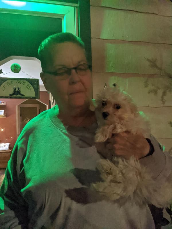 Customer photo of Malti Poo - Maltipoo puppy from Karen S. 