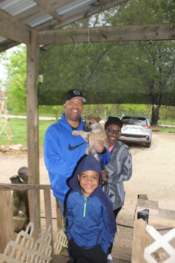 Customer photo of German Shepherd puppy from Derrick F.