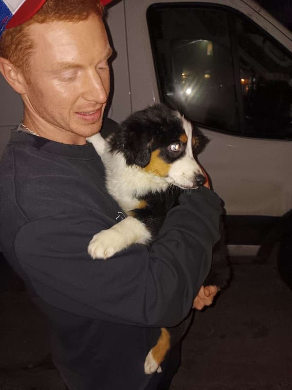 Customer photo of Miniature Australian Shepherd puppy from Tyler S.