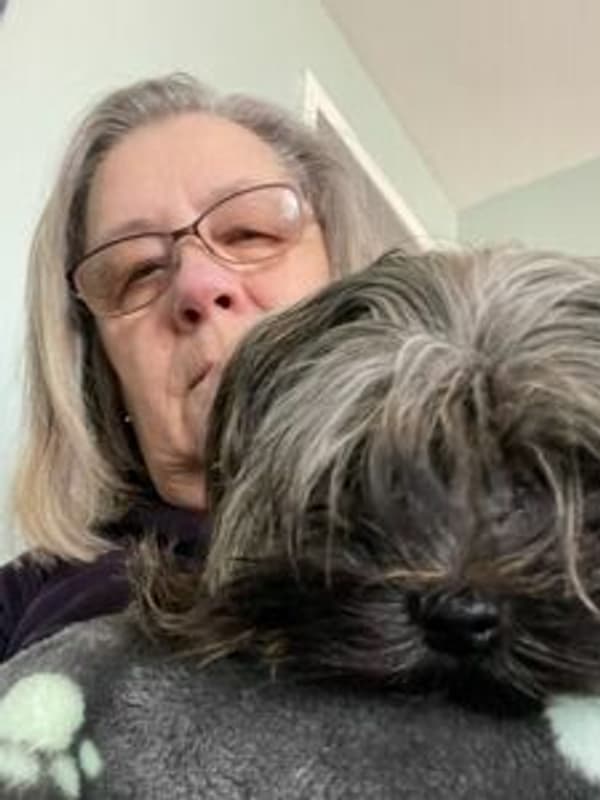 Customer photo of Morkie / Yorktese puppy from Monica O.