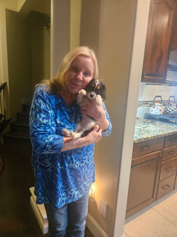 Customer photo of Cavalier King Charles Spaniel puppy from Brenda M.