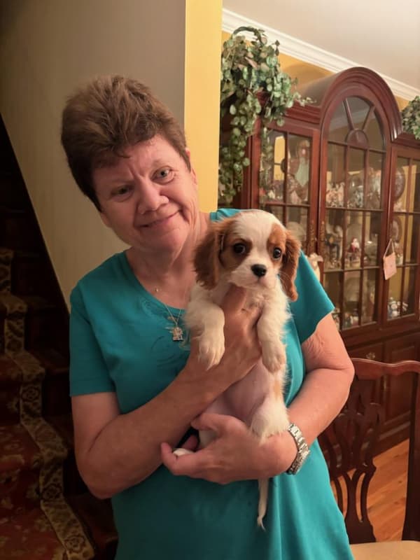 Customer photo of Cavalier King Charles Spaniel puppy from Donna D.
