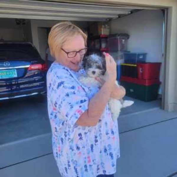 Customer photo of Malti Poo - Maltipoo puppy from Patricia W.