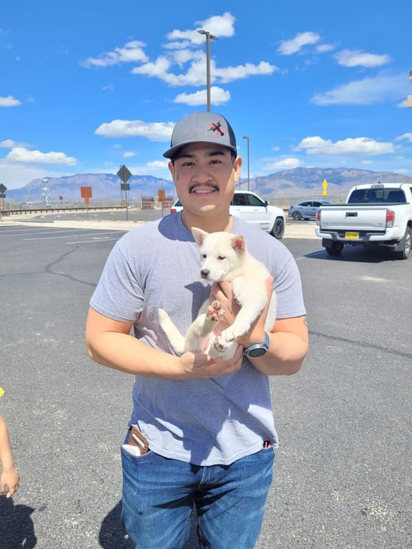 Customer photo of Shiba Inu puppy from christopher B.