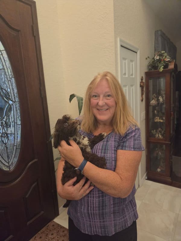 Customer photo of Havanese puppy from Katherine W.