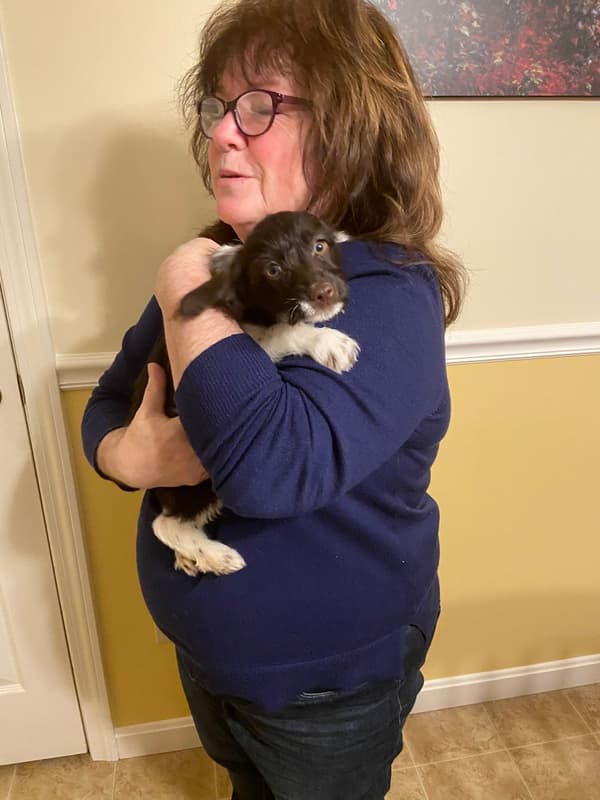 Customer photo of Schnoodle puppy from Judy W.