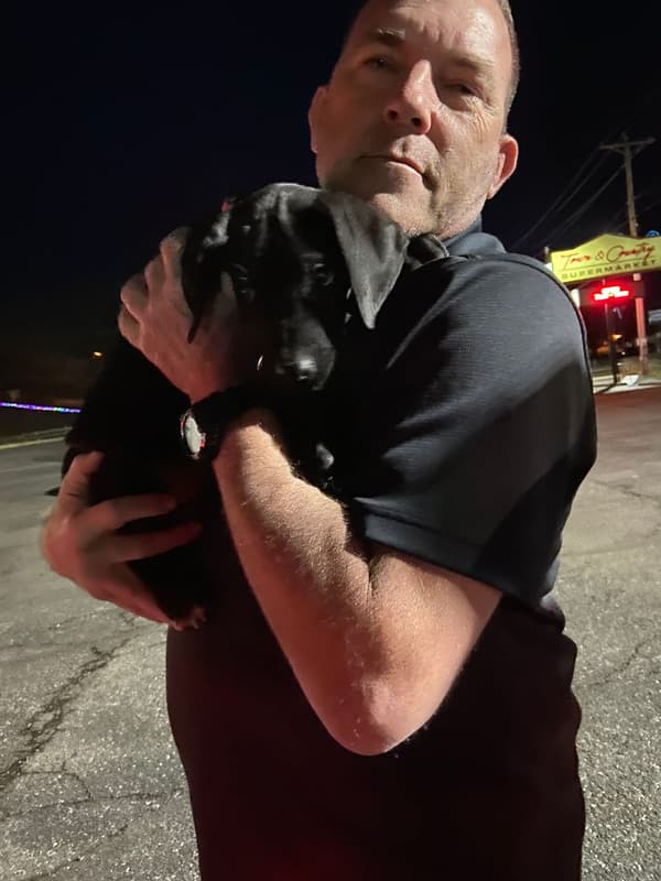 Customer photo of Great Dane puppy from Joel P.