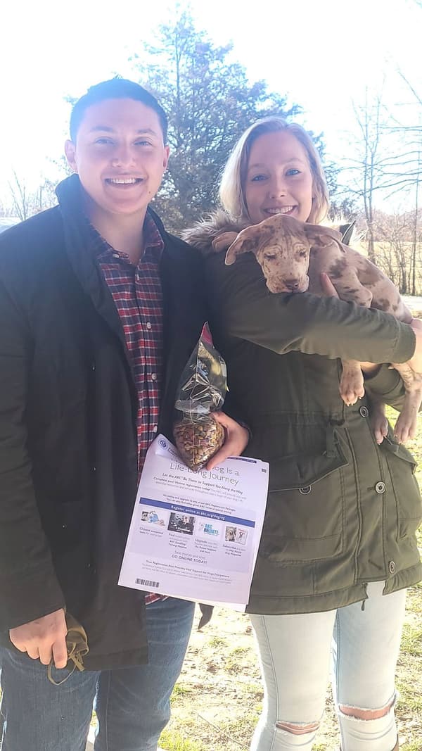 Customer photo of Great Dane puppy from Megan S.