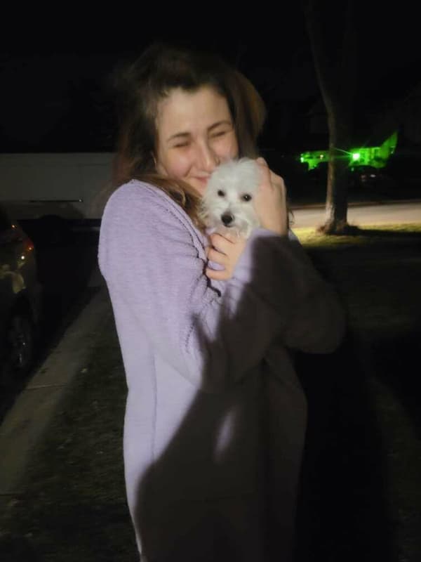 Customer photo of Maltese puppy from Nina C.