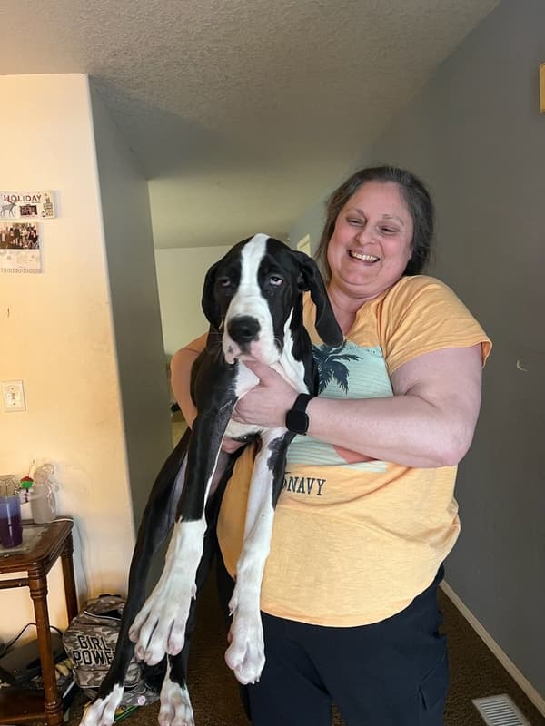 Customer photo of Great Dane puppy from Melissa P.