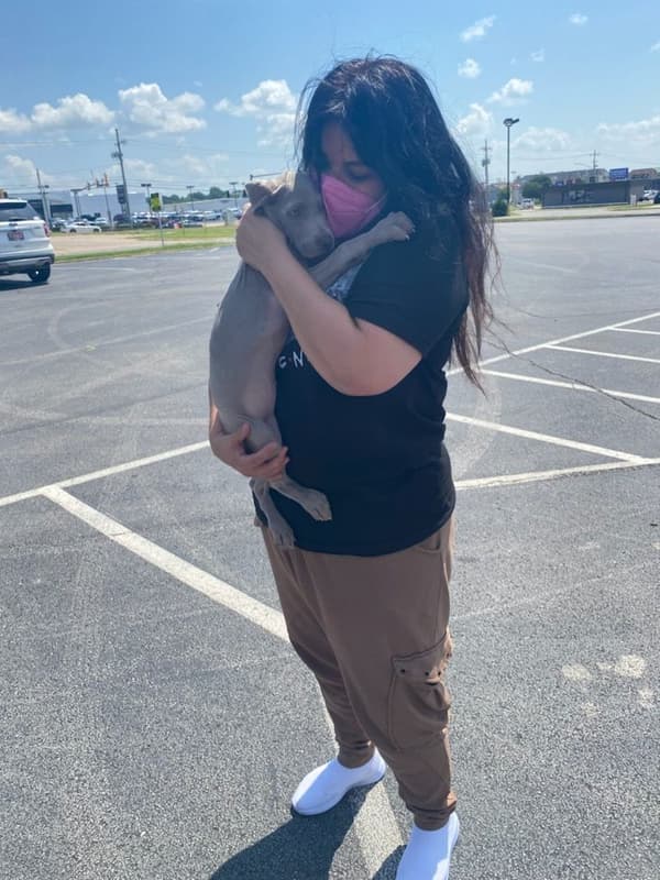 Customer photo of Weimaraner puppy from Mary A.