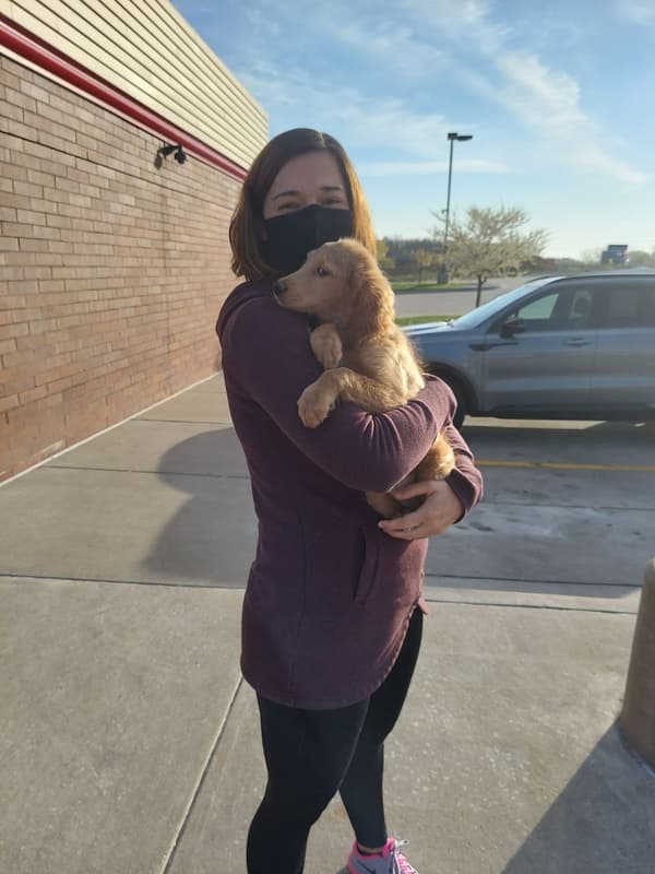 Customer photo of Goldendoodle puppy from Nicole A.