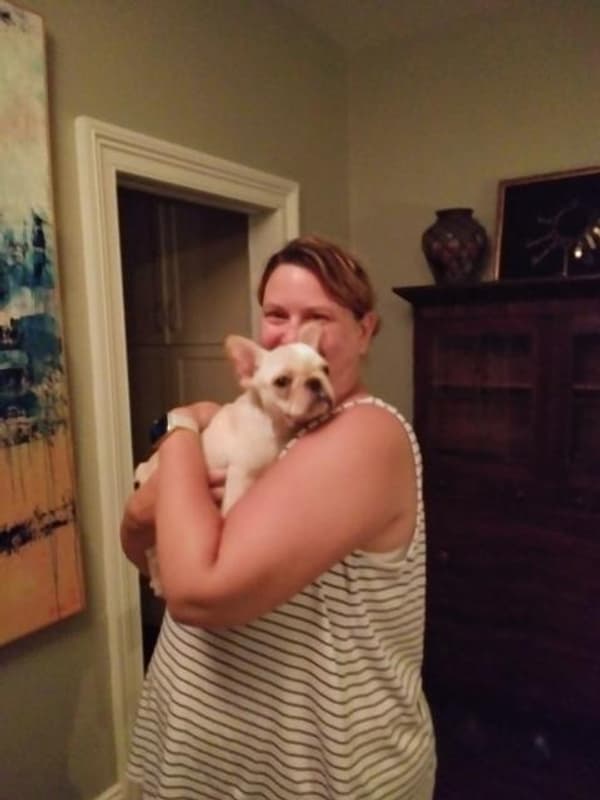 Customer photo of French Bulldog puppy from Corinne B.