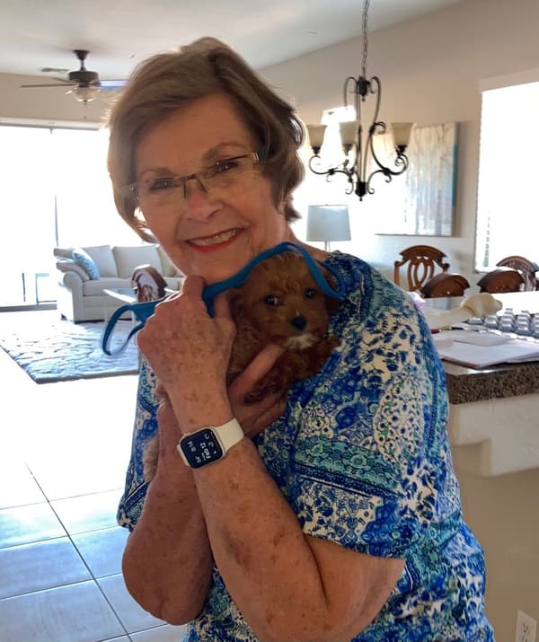 Customer photo of Cavapoo puppy from Judy M.