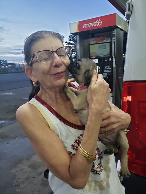 Customer photo of Pug puppy from Audrey M.