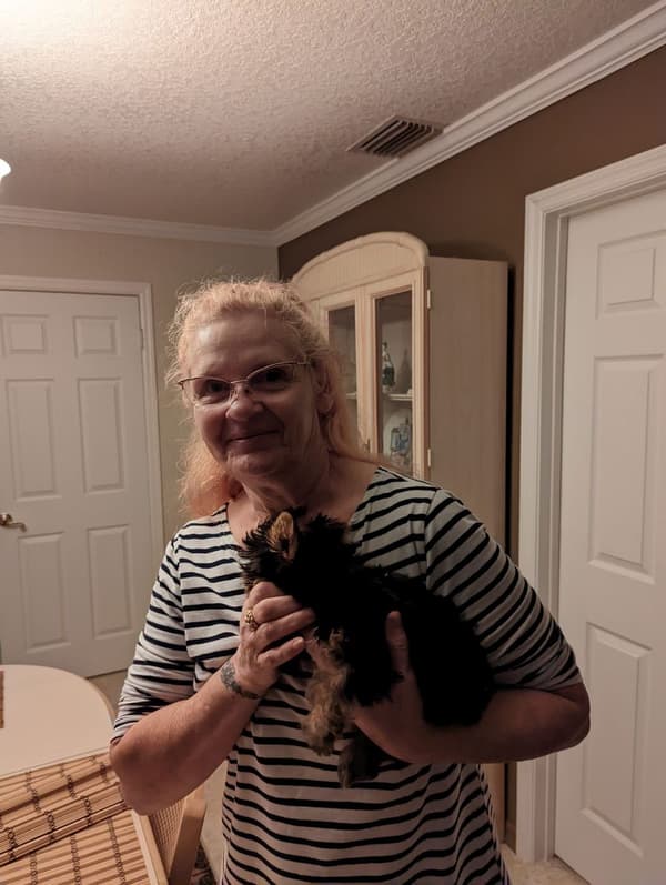 Customer photo of Yorkshire Terrier - Yorkie puppy from Pete D. & Roxanne C. 