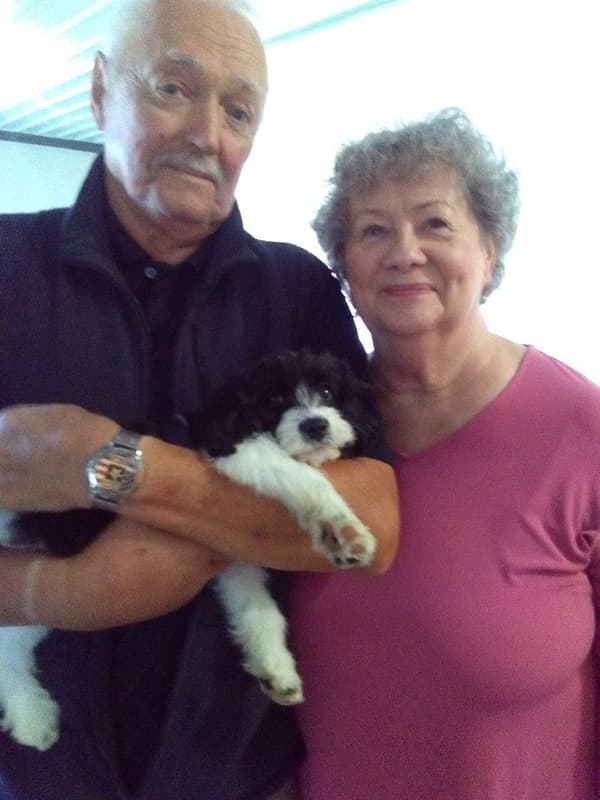 Customer photo of Cavachon puppy from Cheryl T.