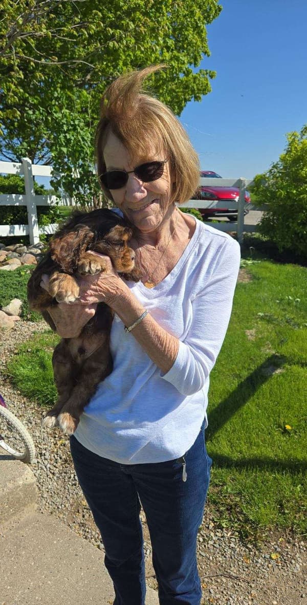 Customer photo of Cocker Spaniel puppy from Patrick G.