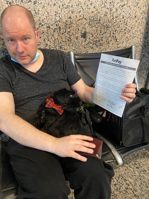 Customer photo of Schnauzer, Miniature puppy from Joshua W.