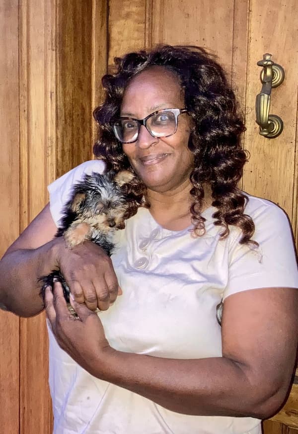 Customer photo of Yorkshire Terrier - Yorkie puppy from Brenda M.