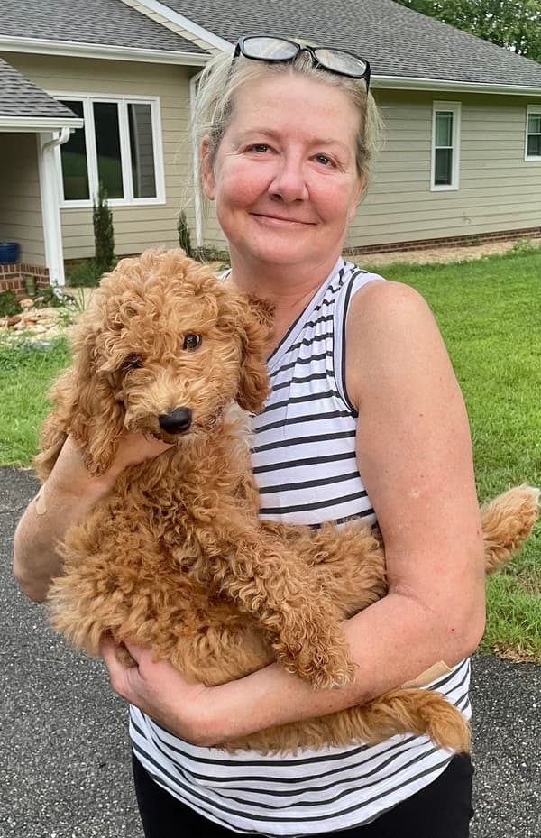 Customer photo of Goldendoodle, Mini puppy from Georgina H. 