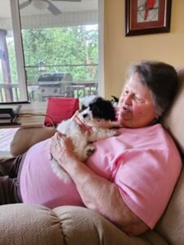 Customer photo of Bich-Poo - Bichpoo puppy from Marynell Y.