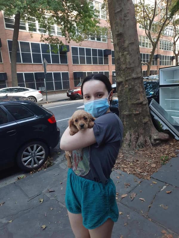 Customer photo of Cavapoo puppy from Daria S.