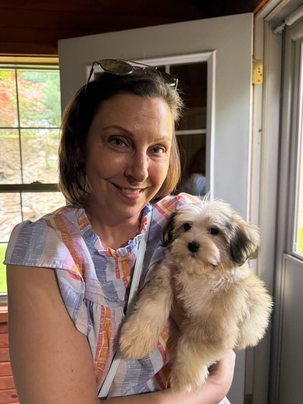 Customer photo of Havanese puppy from Kari V.