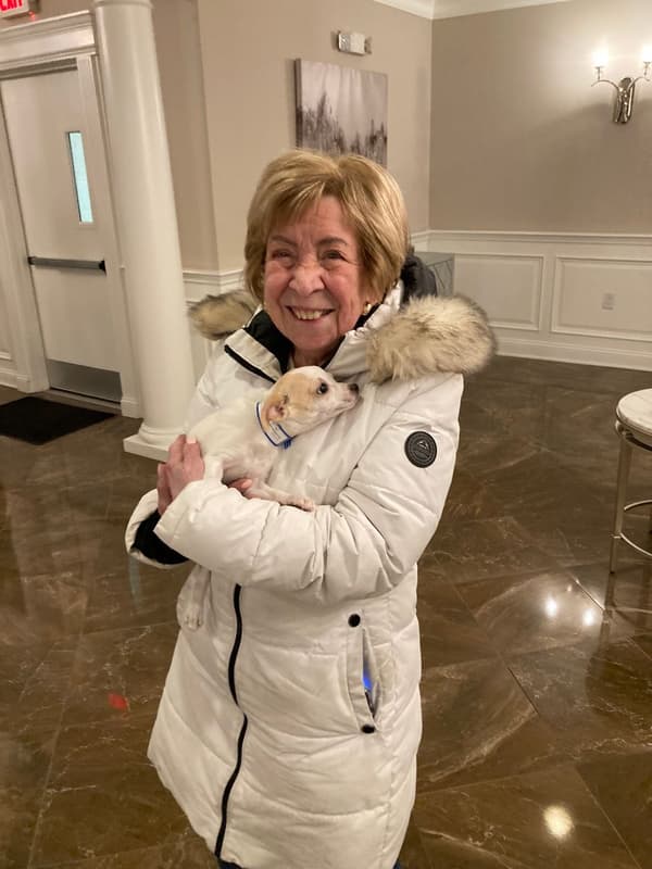 Customer photo of Chihuahua puppy from Rosemarie C.