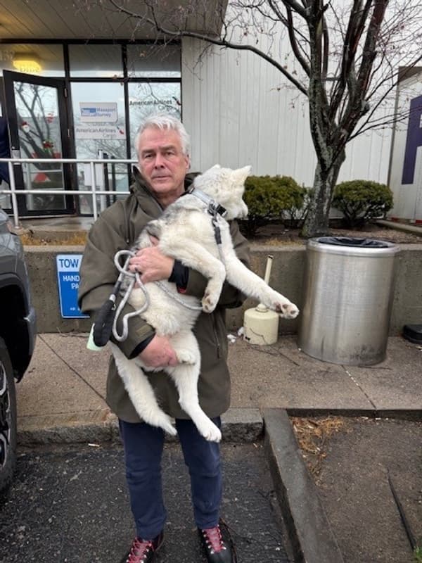 Customer photo of Siberian Husky puppy from Thomas M.