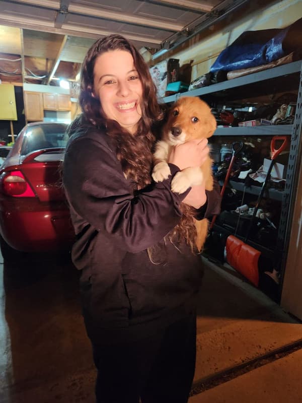 Customer photo of Corgi, Pembroke Welsh puppy from Taylor S.