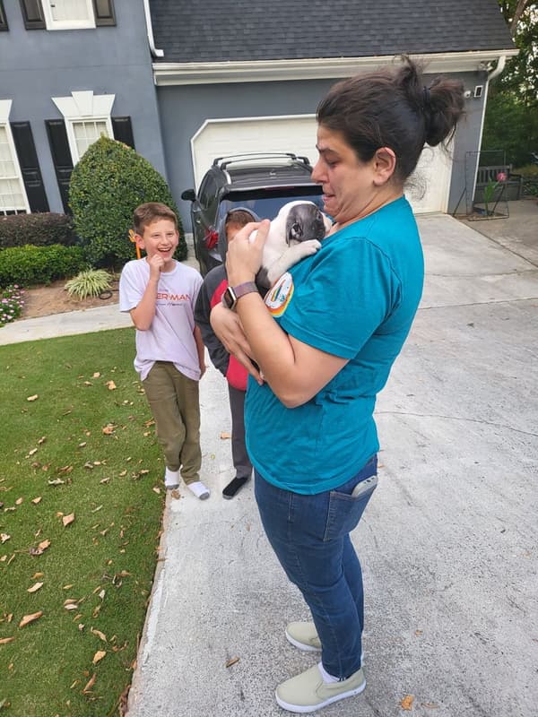 Customer photo of Boston Terrier puppy from Gerrad K.