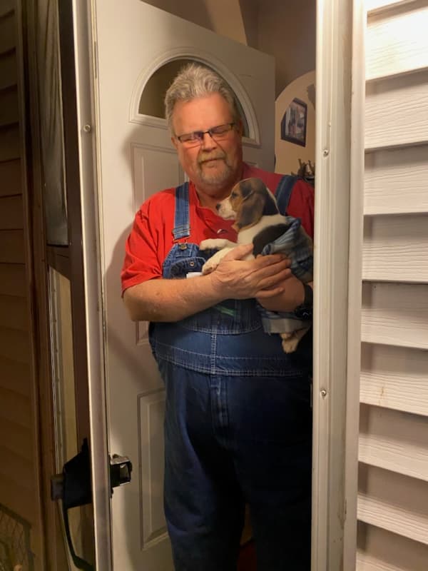 Customer photo of Beagle puppy from Chris T.