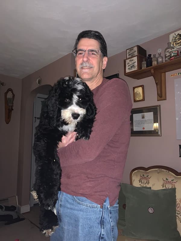 Customer photo of Sheepadoodle puppy from Tom W.