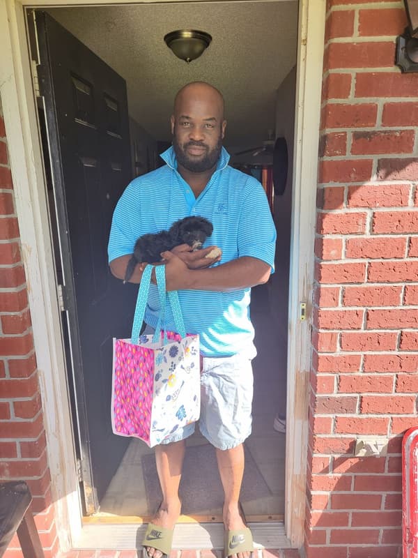 Customer photo of Havanese puppy from Corey T.