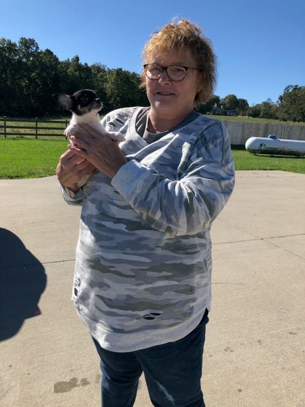 Customer photo of Chihuahua puppy from Penny E.