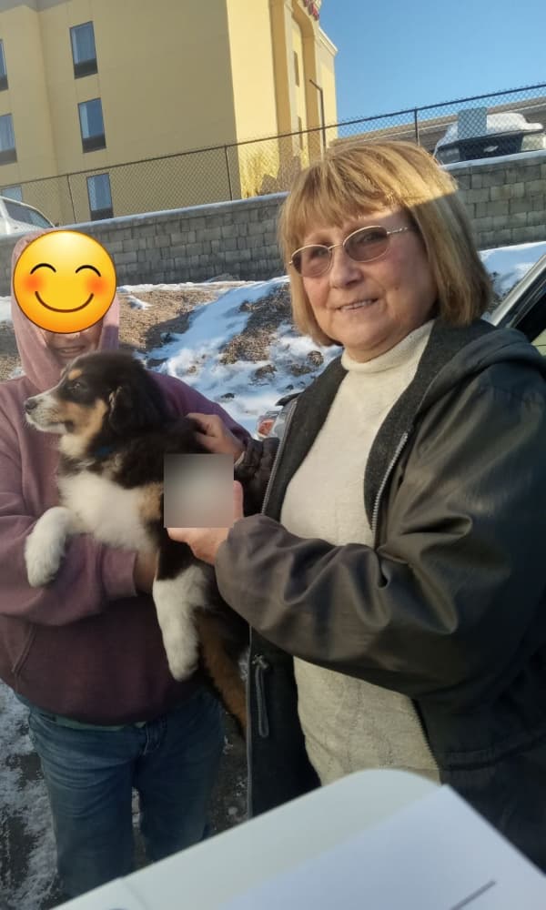 Customer photo of Australian Shepherd puppy from Cathleen B.