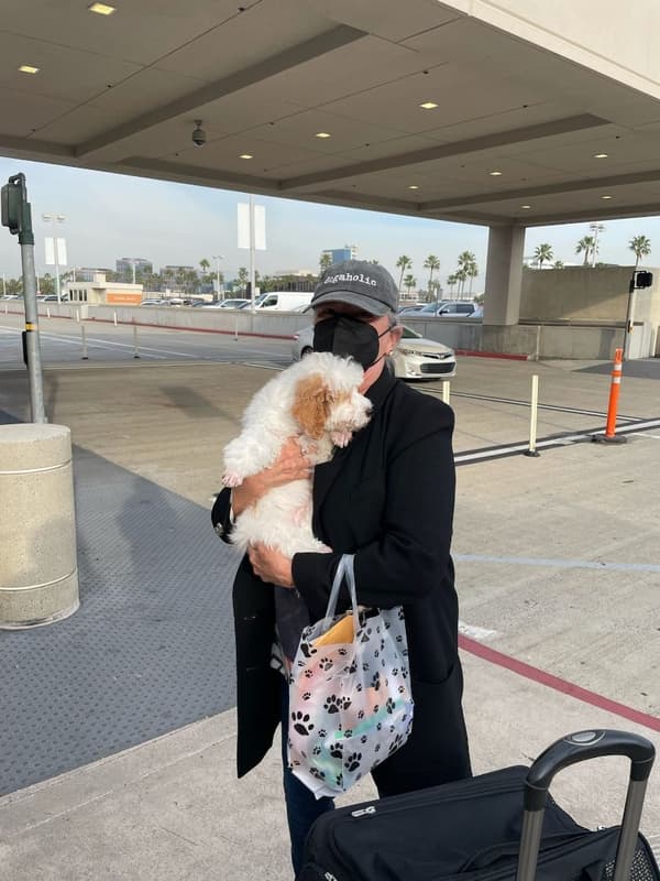 Customer photo of Poodle, Miniature puppy from Mary H. 