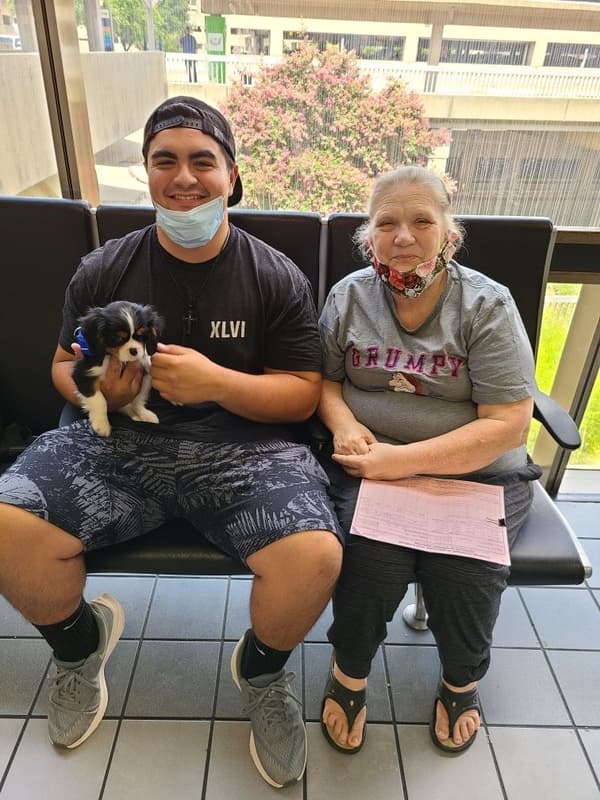 Customer photo of Cavalier King Charles Spaniel puppy from Linda C.