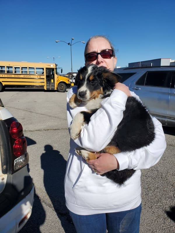 Customer photo of Australian Mountain Dog puppy from Angela S.