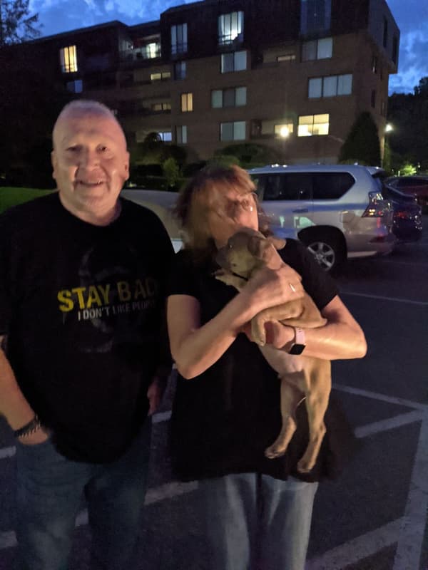 Customer photo of French Bulldog puppy from Helene B.