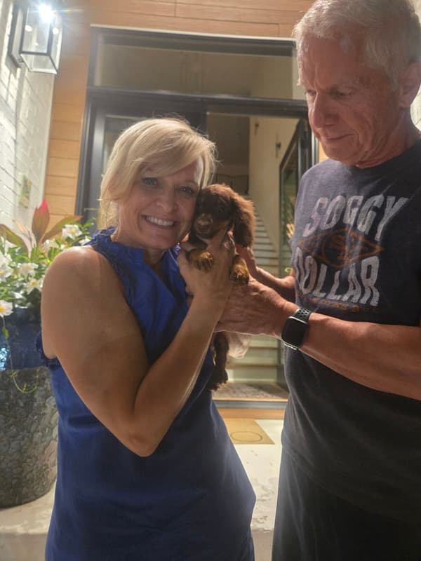 Customer photo of Dachshund, Mini puppy from Ansley M.