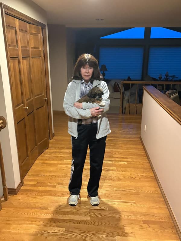 Customer photo of Shih Tzu puppy from Dulcie C.