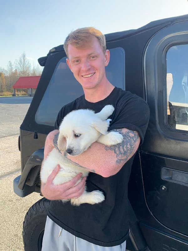 Customer photo of English Golden Retriever puppy from Brandyn B.