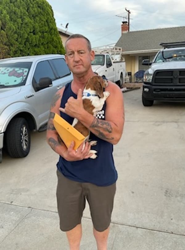 Customer photo of Dachshund, Mini puppy from John L.
