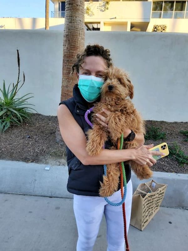 Customer photo of Bich-Poo - Bichpoo puppy from Vanessa M.